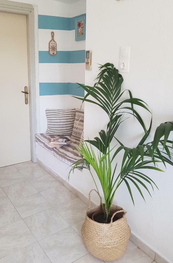 Mesogitonia House Apartment Káto Zákros Bagian luar foto
